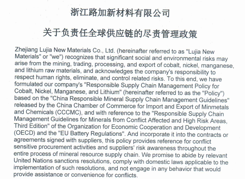 关于负责任全球供应链的尽责管理政策