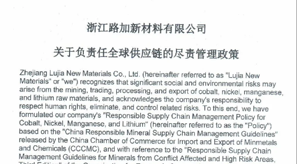 关于负责任全球供应链的尽责管理政策